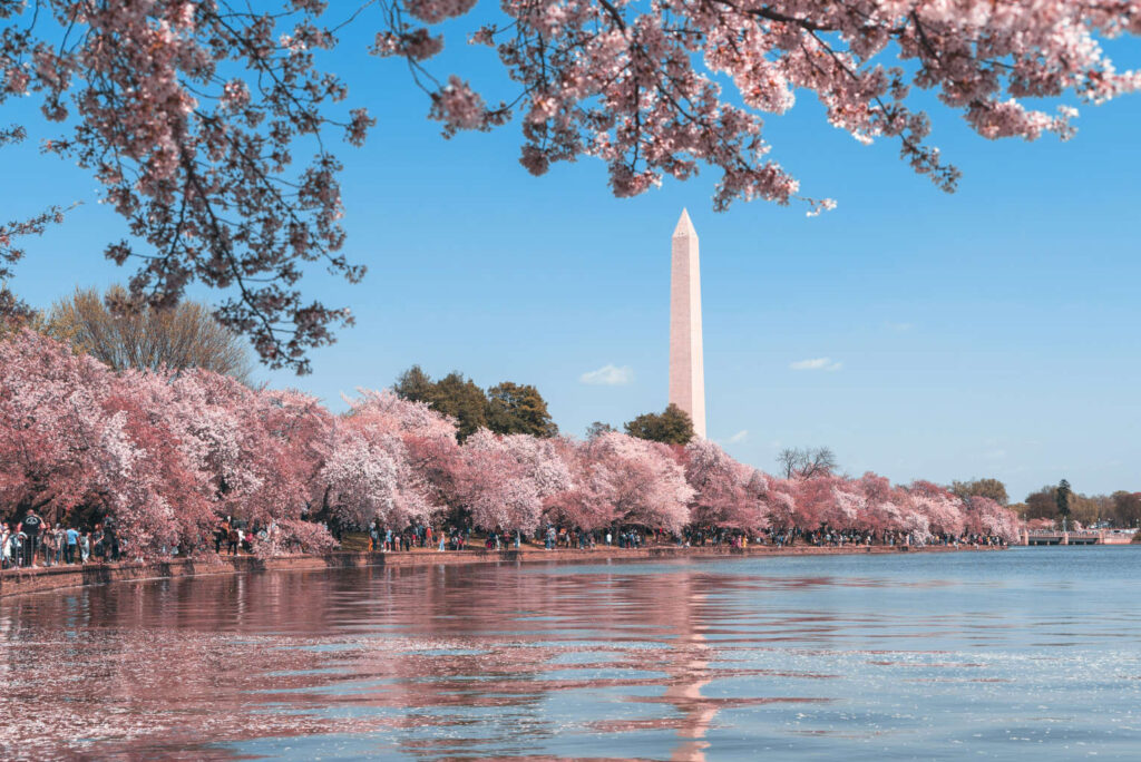 National Prayer Altar Returns to Washington, Calling Americans to Renew ...