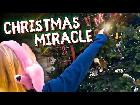 A Christmas Miracle Caught on Camera: Chimney Rock Families Find Hope Amidst Tragedy- Travis Johnson