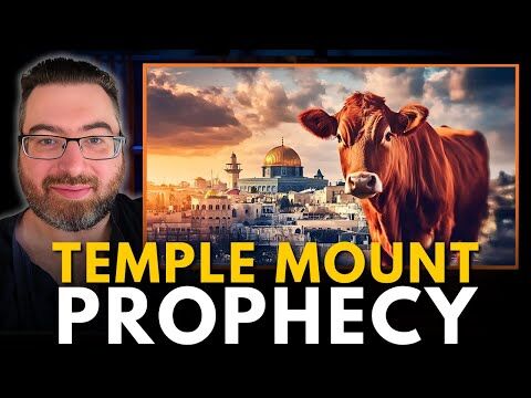Blueprint of the Millennial Kingdom (End Times - Fourth Temple - Red Heifer)